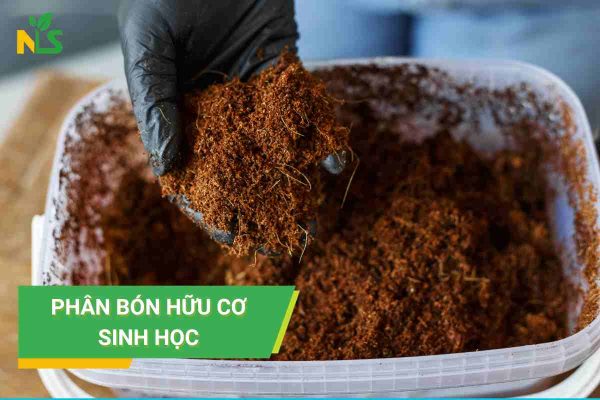 Phân bón hữu cơ sinh học là gì?